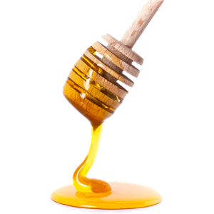 Honey PNG-11577